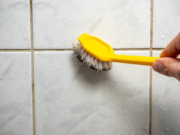Best Mold Damage Repair  in Fairmount, IN