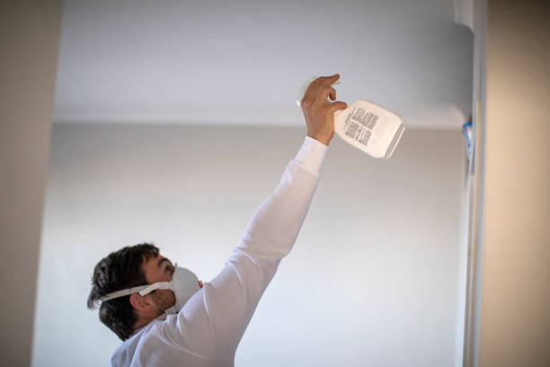 Best Toxic Mold Removal  in Fairmount, IN