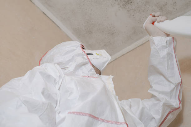 Professional Mold Removal in Fairmount, IN