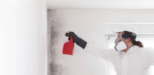 Best Water Damage Restoration  in Fairmount, IN